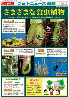 フォトニュース教材