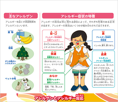 ヘルスチャート『アレルギーを知ろう』中身画像